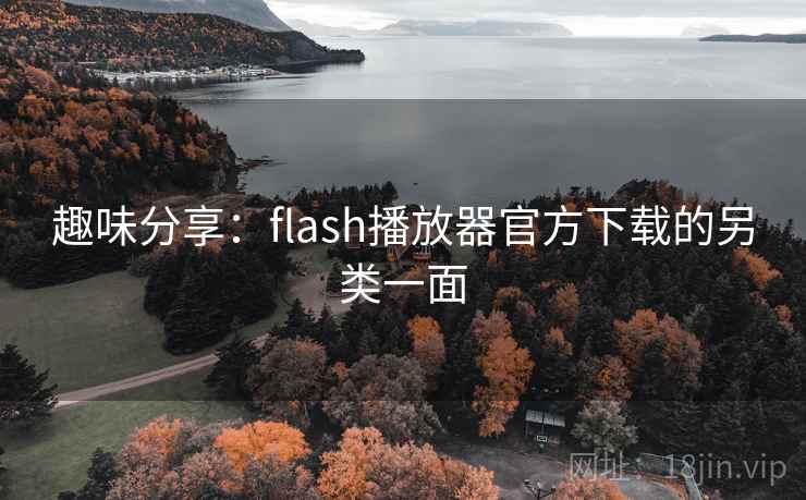 趣味分享：flash播放器官方下载的另类一面